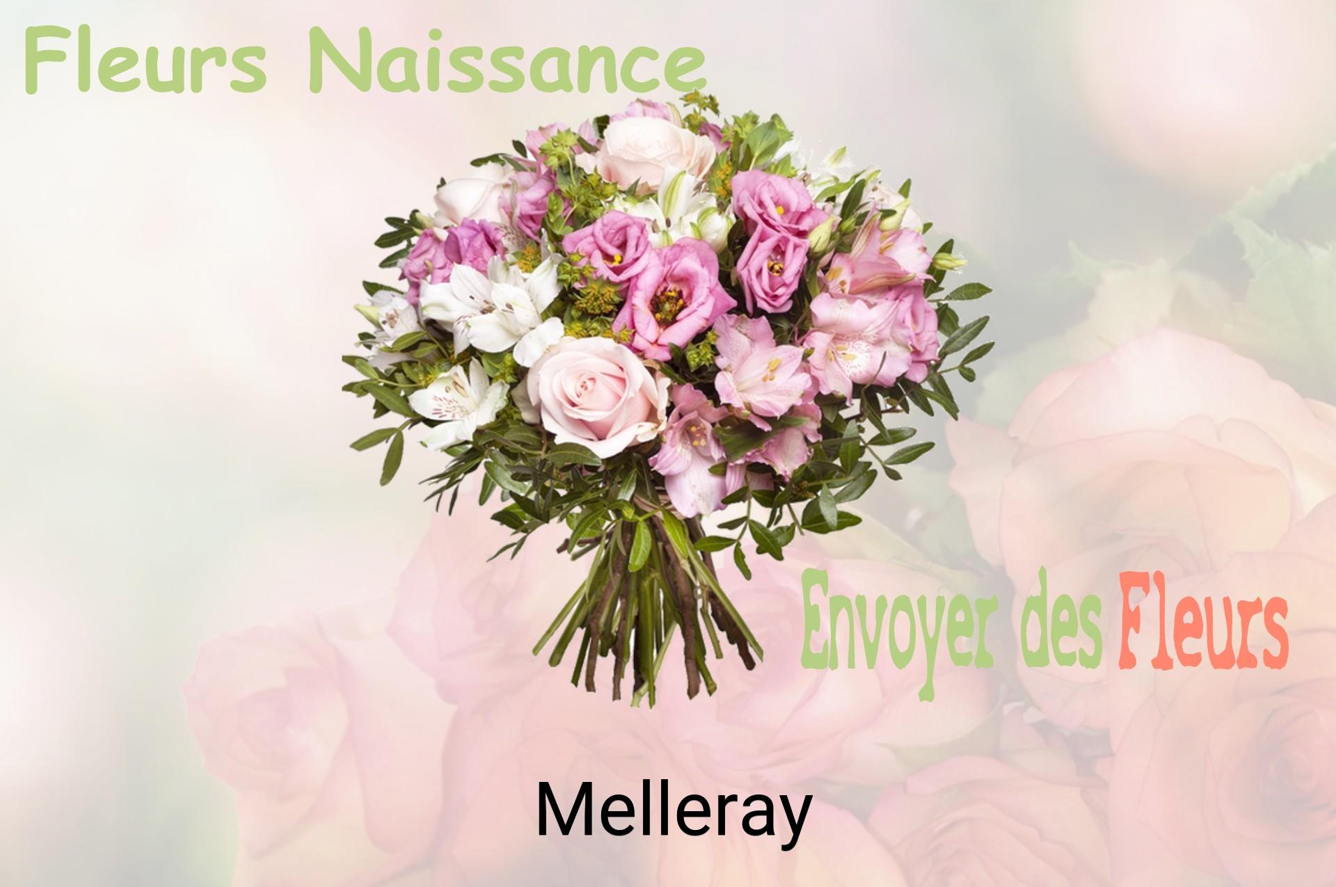 Bouquet de fleurs de naissance livré à Melleray
