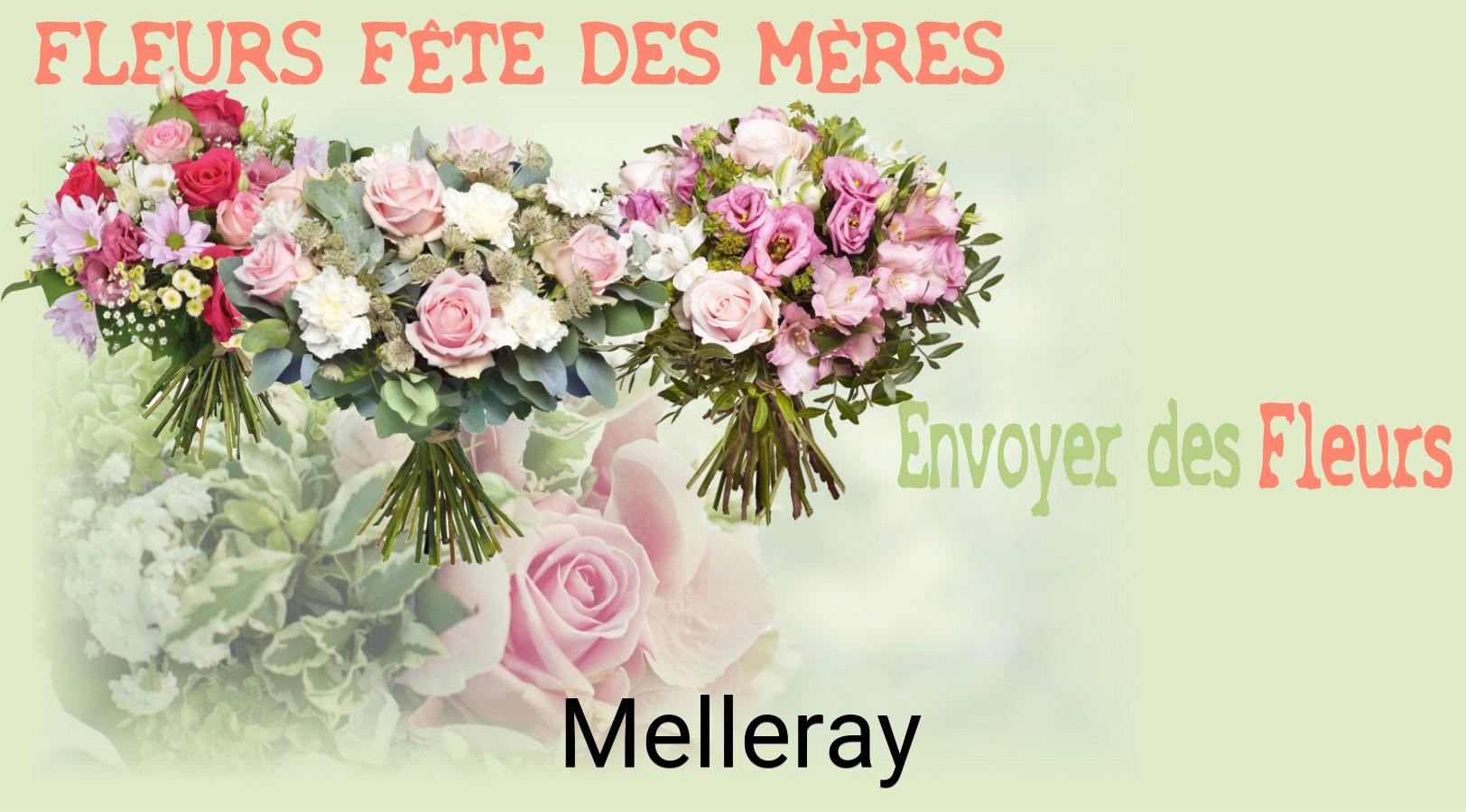 Bouquet de Fête des Mères livré à Melleray